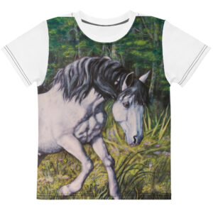 Camiseta cuello redondo niño